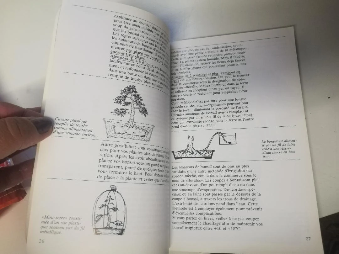 Book "INDOOR BONSAI" – photo 4